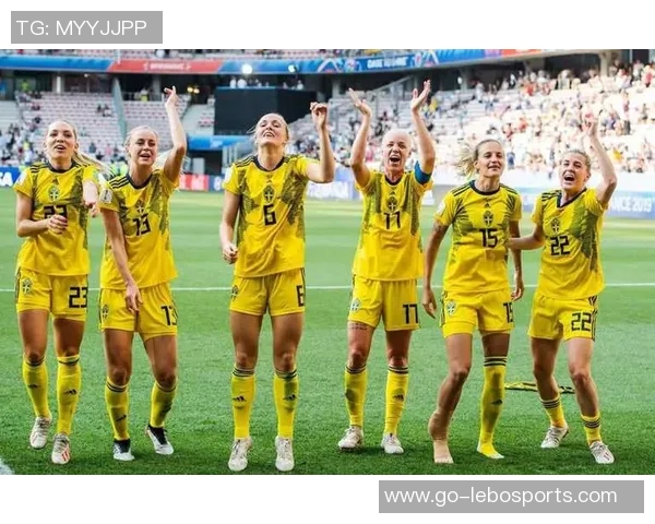 瑞典国家足球队的辉煌历程与未来展望解析